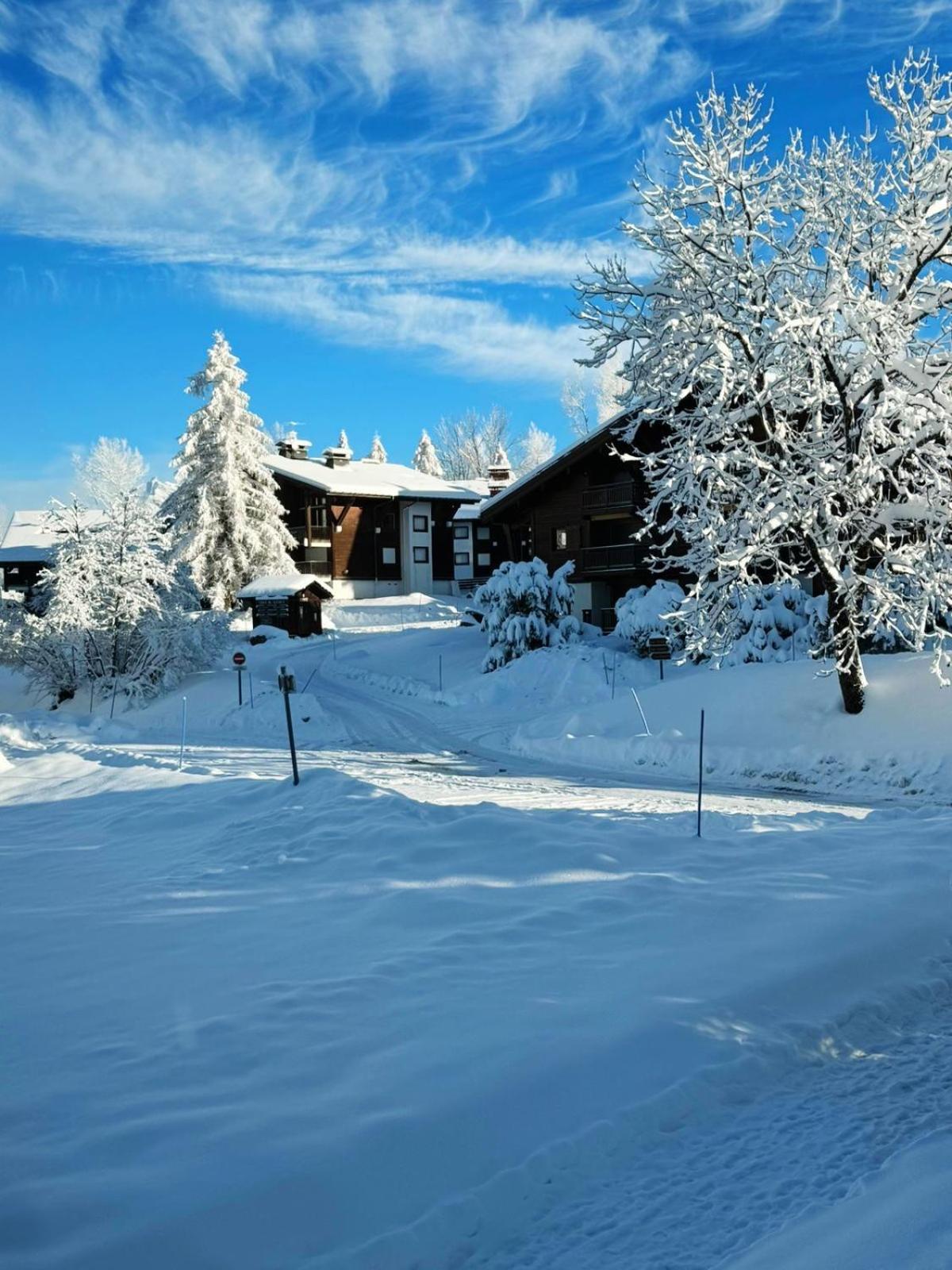 Le Flocon Du Mont Darbois Classe 3 Etoiles Megeve Bagian luar foto